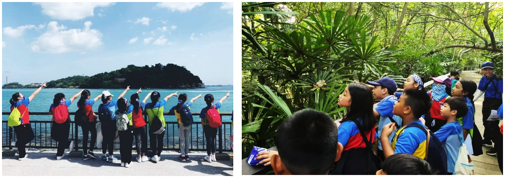 Students point toward an island across water; separately, children look up at trees in a lush green area.